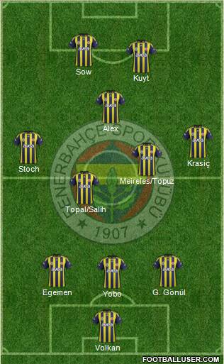 Fenerbahçe SK Formation 2012