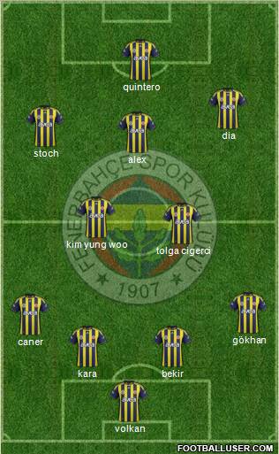 Fenerbahçe SK Formation 2012