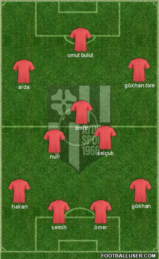 Aydinspor Formation 2012