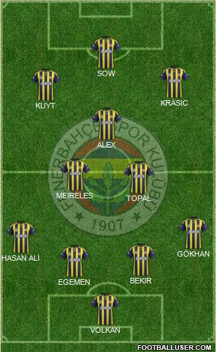 Fenerbahçe SK Formation 2012