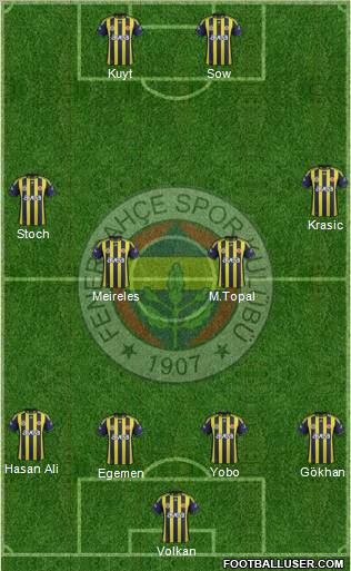 Fenerbahçe SK Formation 2012