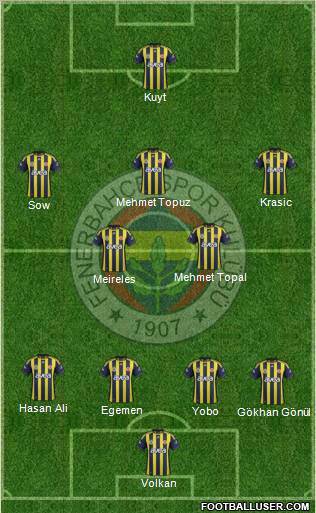 Fenerbahçe SK Formation 2012