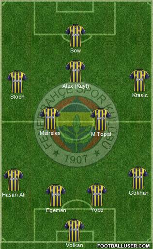 Fenerbahçe SK Formation 2012
