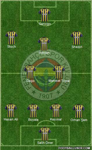 Fenerbahçe SK Formation 2012