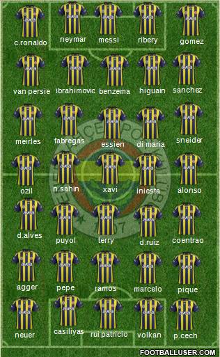 Fenerbahçe SK Formation 2012
