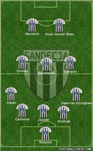 Sandecja Nowy Sacz Formation 2012