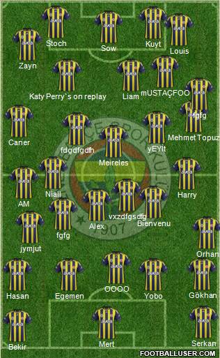 Fenerbahçe SK Formation 2012