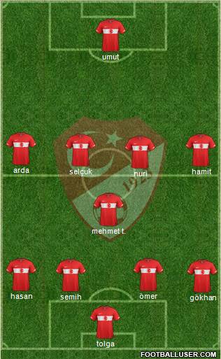 Turkey Formation 2012