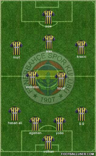 Fenerbahçe SK Formation 2012