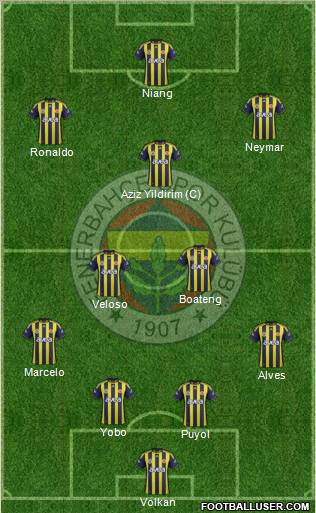 Fenerbahçe SK Formation 2012