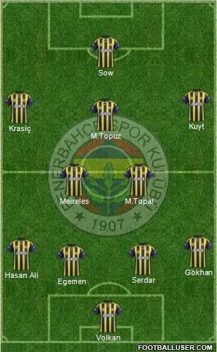 Fenerbahçe SK Formation 2012