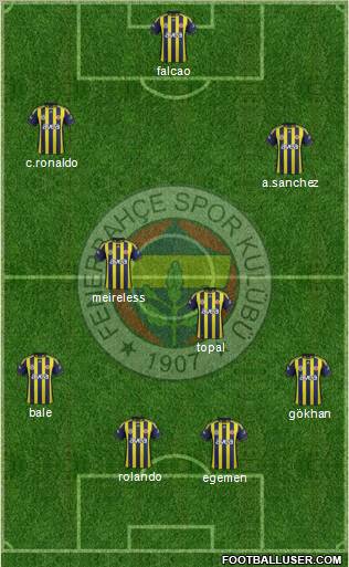 Fenerbahçe SK Formation 2012