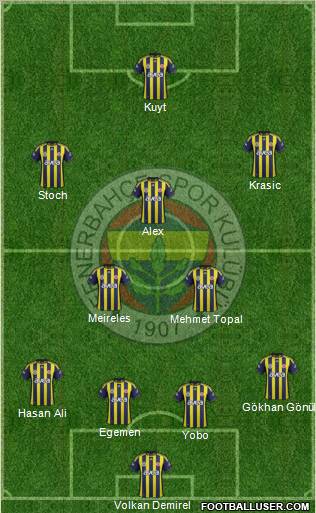 Fenerbahçe SK Formation 2012