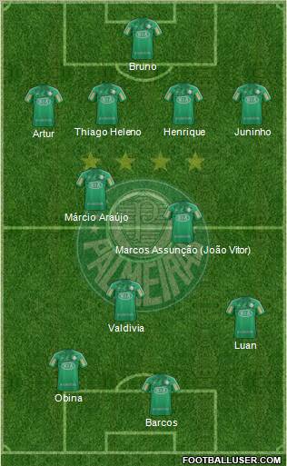 SE Palmeiras Formation 2012