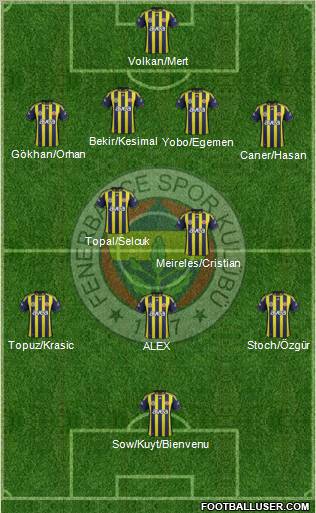 Fenerbahçe SK Formation 2012