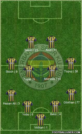 Fenerbahçe SK Formation 2012