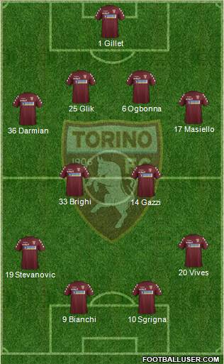 Torino Formation 2012