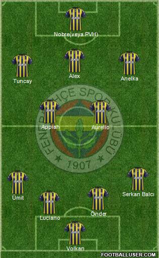 Fenerbahçe SK Formation 2012