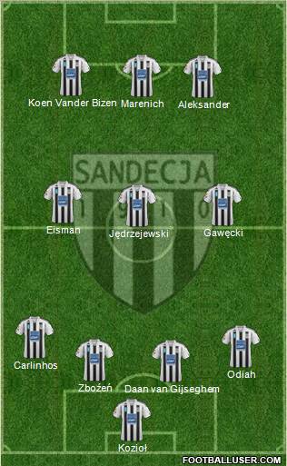 Sandecja Nowy Sacz Formation 2012