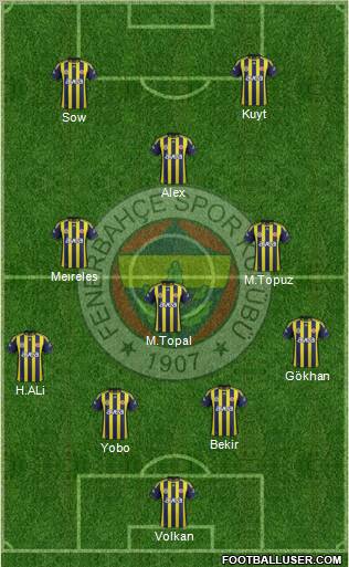 Fenerbahçe SK Formation 2012