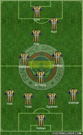 Fenerbahçe SK Formation 2012