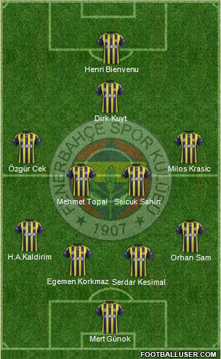 Fenerbahçe SK Formation 2012