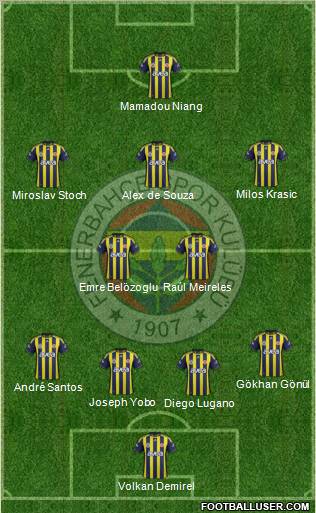 Fenerbahçe SK Formation 2012