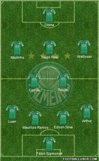 SE Palmeiras Formation 2012