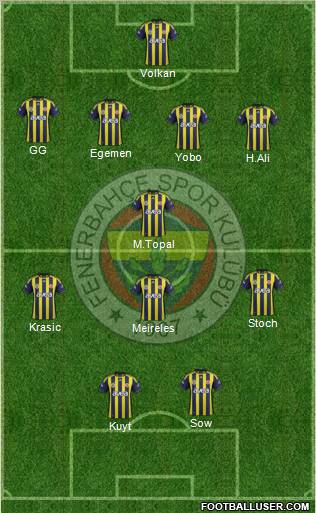 Fenerbahçe SK Formation 2012