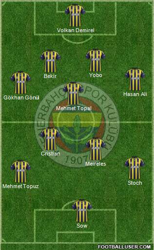 Fenerbahçe SK Formation 2012