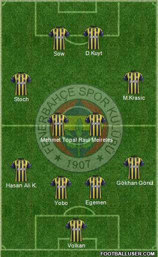 Fenerbahçe SK Formation 2012