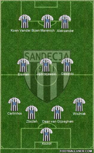 Sandecja Nowy Sacz Formation 2012