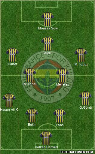 Fenerbahçe SK Formation 2012