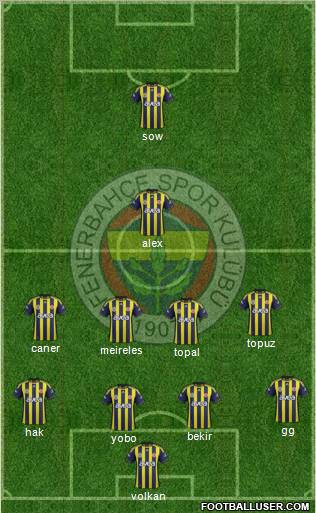 Fenerbahçe SK Formation 2012