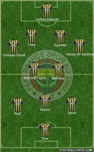 Fenerbahçe SK Formation 2012