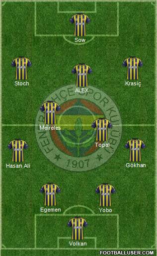 Fenerbahçe SK Formation 2012
