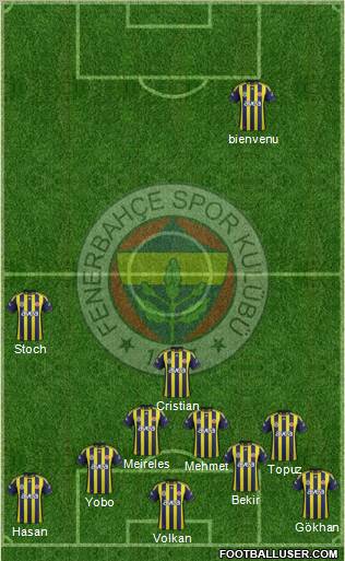 Fenerbahçe SK Formation 2012