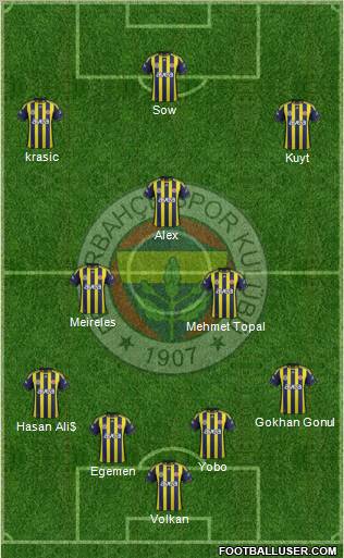 Fenerbahçe SK Formation 2012