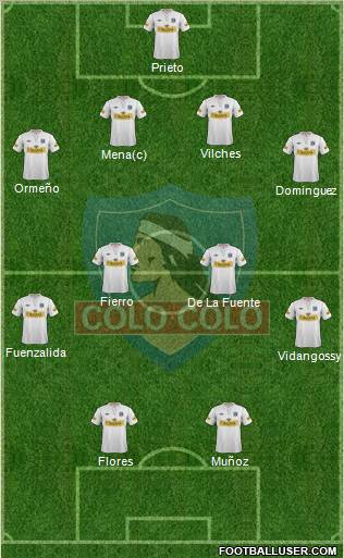CSD Colo Colo Formation 2012
