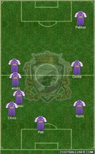 FC Timisoara Formation 2012
