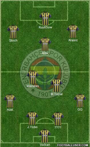 Fenerbahçe SK Formation 2012