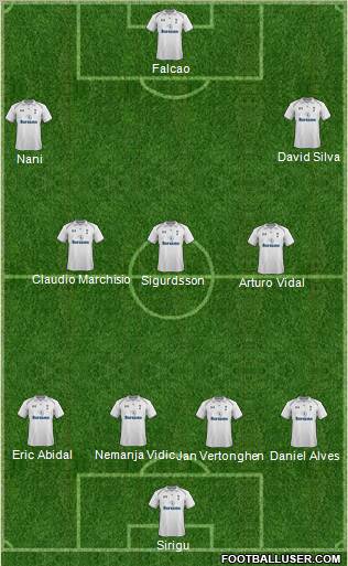 Tottenham Hotspur Formation 2012