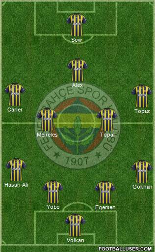 Fenerbahçe SK Formation 2012