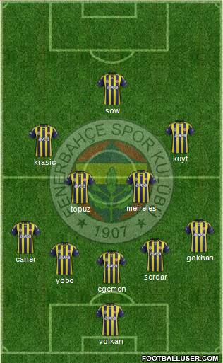 Fenerbahçe SK Formation 2012