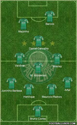 SE Palmeiras Formation 2012