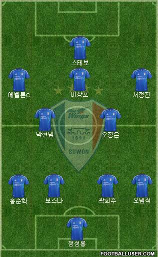 Suwon Samsung Blue Wings Formation 2012