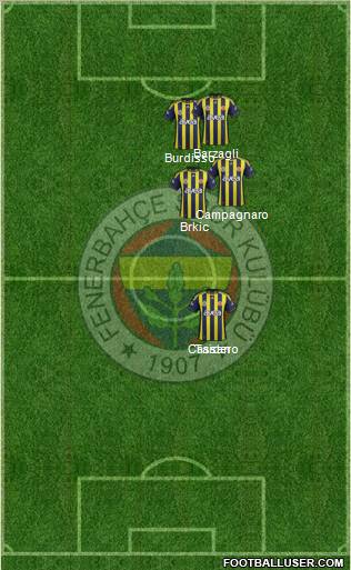 Fenerbahçe SK Formation 2012