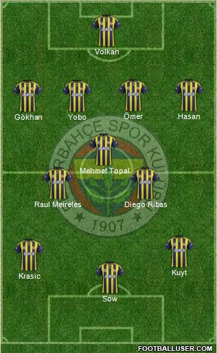 Fenerbahçe SK Formation 2012