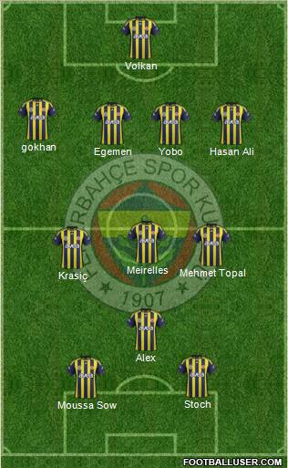 Fenerbahçe SK Formation 2012