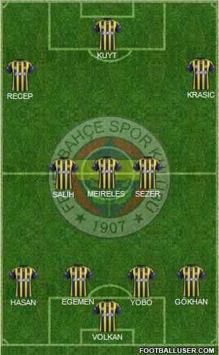 Fenerbahçe SK Formation 2012